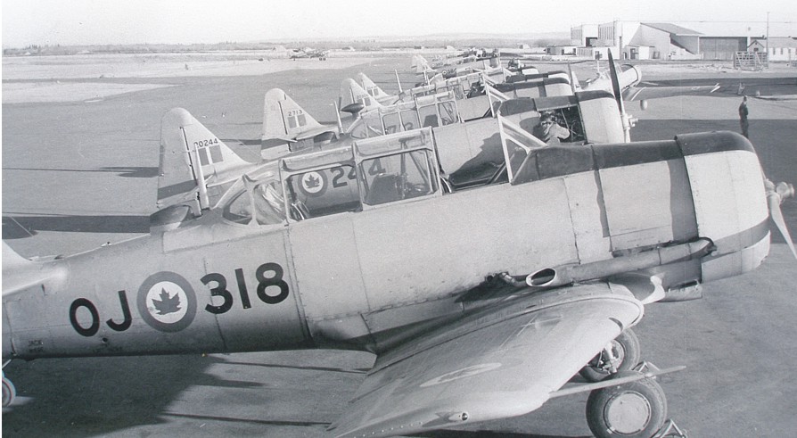 donate_photo Harvards in a row